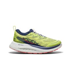 Women's WK400 II Walking Shoe | Daiquiri Green/Skipper Blue